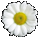 /Files/images/,,,.png