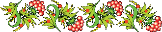 /Files/photogallery/08d3fa586b3a.png